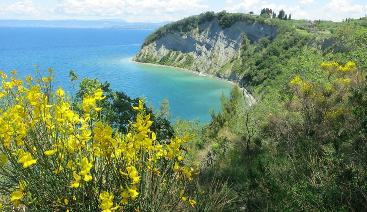 Apartment In Villa, Near Piran Strunjan Εξωτερικό φωτογραφία